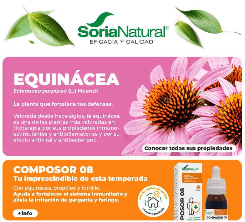 Equinácea 🩷​ ¿Cómo cuida tu sistema inmunitario?