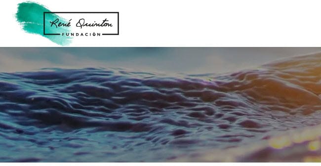 Descubre qué necesitas saber de estas enfermedades 🔍