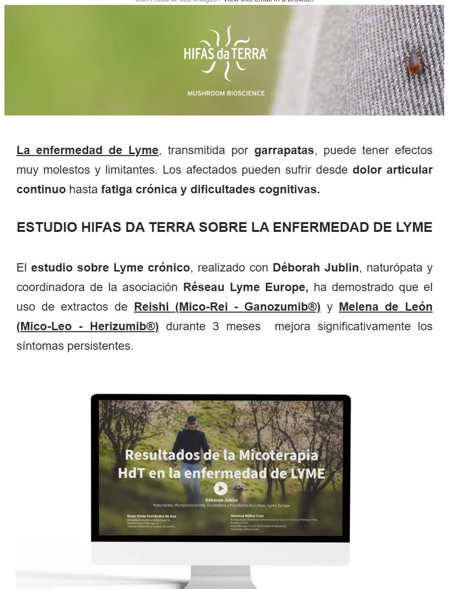 Nuevo Estudio by Hifas