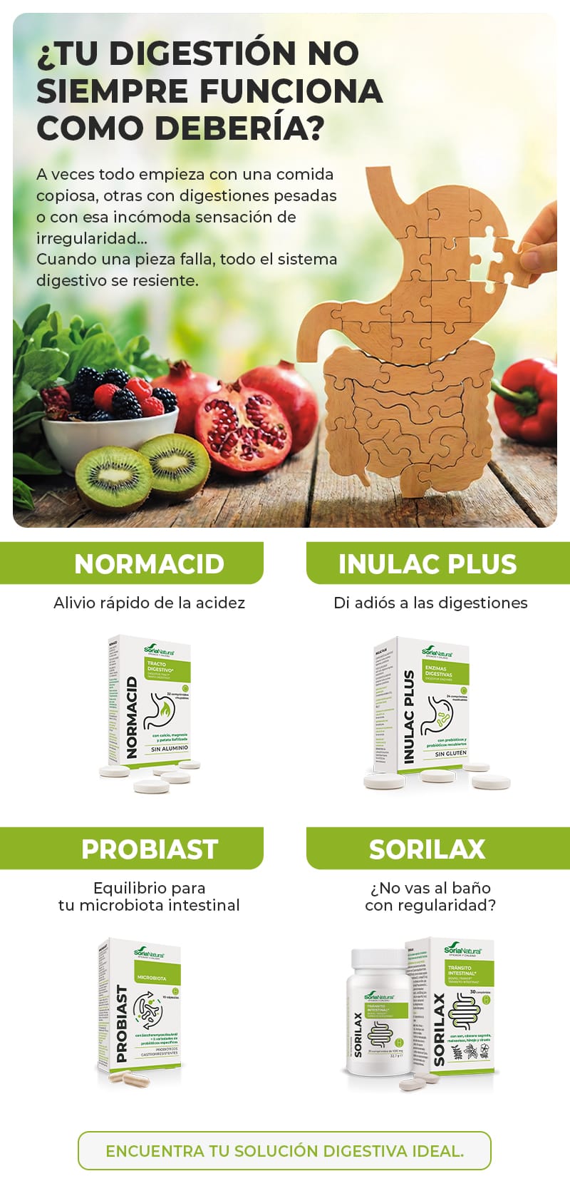 Digestión en equilibrio 🧩 soluciones naturales para tu día a día