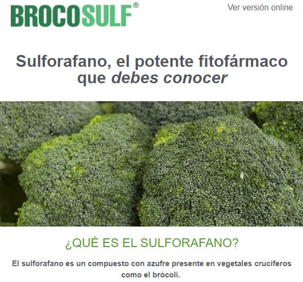 Descubre el sulforafano, el potente fitofármaco para el detox y la inflamación