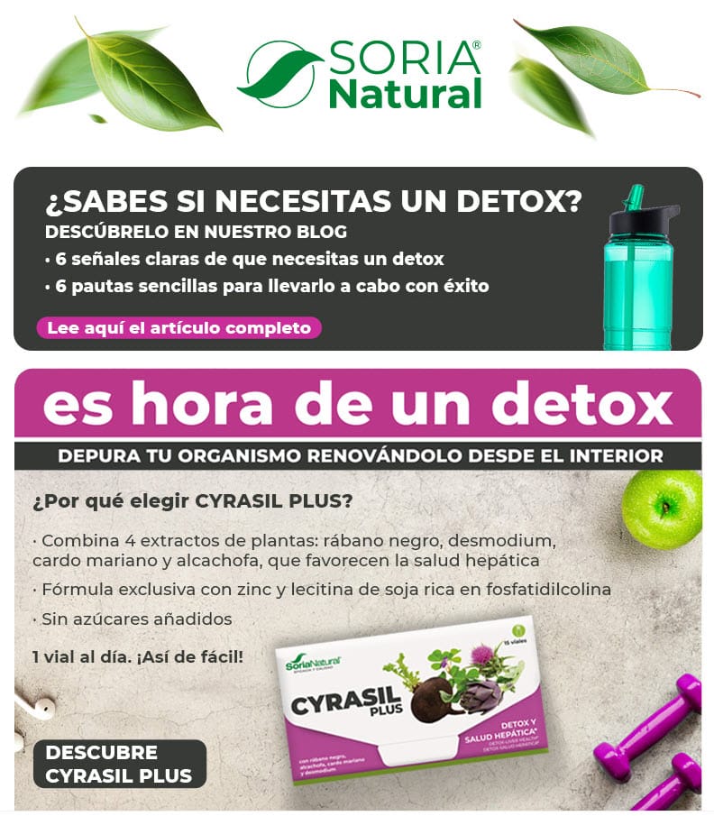 Plan detox 15 días 💜​💚 descarga tu guía