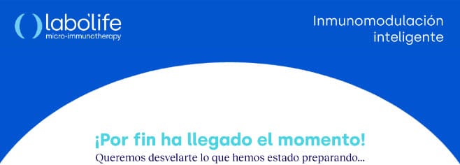 ¡Renovamos nuestra marca!