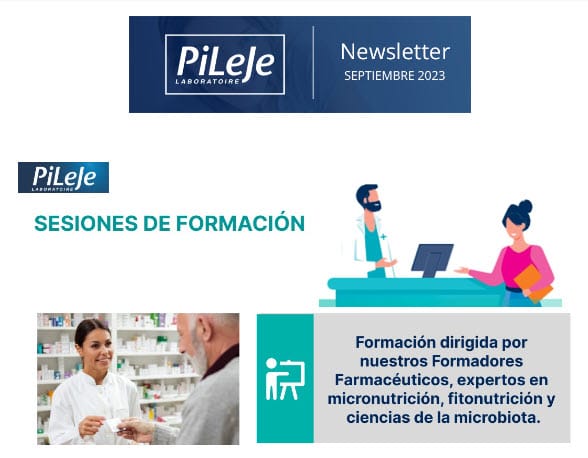 PROGRAMA FLASH ACTU Q3