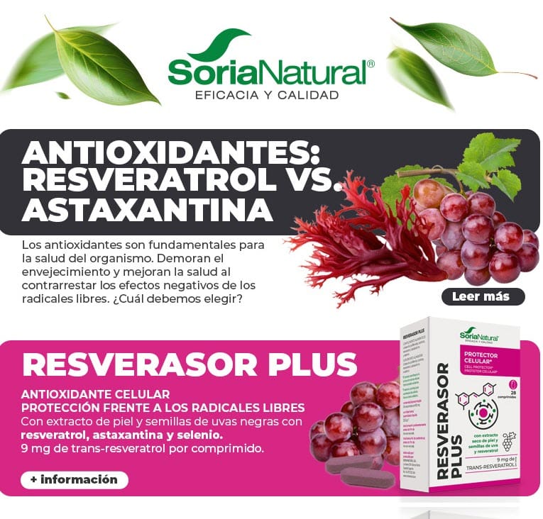 Antienvejecimiento y salud celular 🍇​ el poder de los antioxidantes 🧬