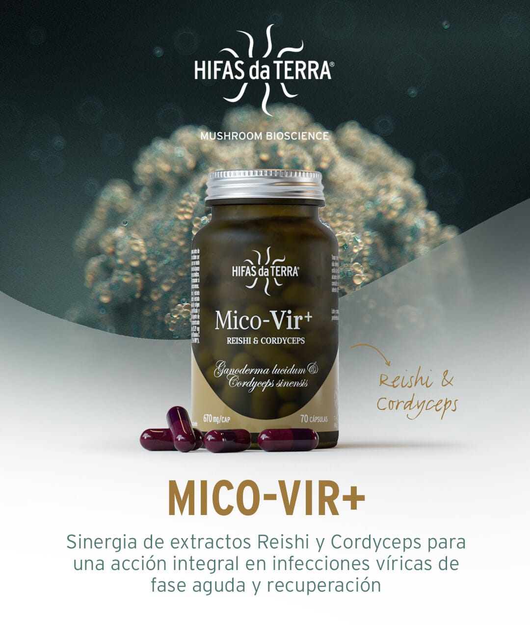 MICO-VIR+: REISHI + CORDYCEPS