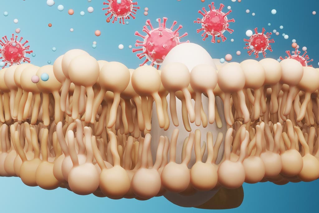 LCN:MONOGRÁFICO Ácidos grasos y COVID-19
