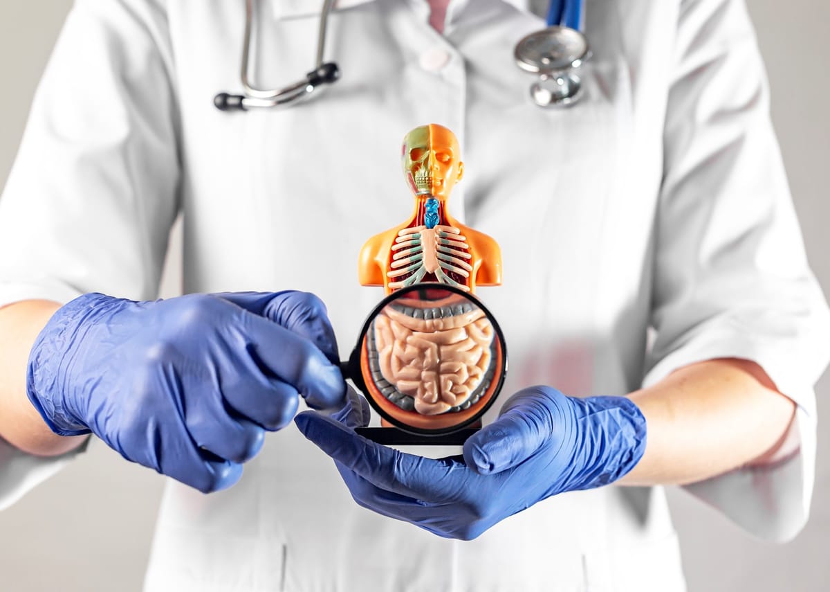 Disbiosis y Permeabilidad Intestinal