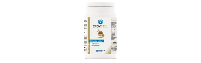 NUEVO ERGYCEll octubre 2021