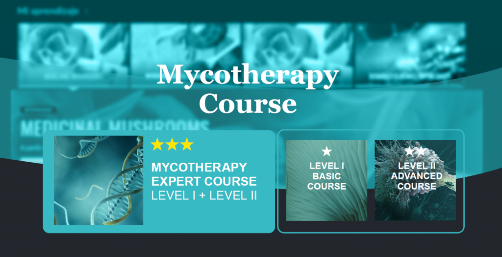 IMMA Integrative Mycomedicine Association / Curso interactivo y multimedia online DESCUENTO 20%