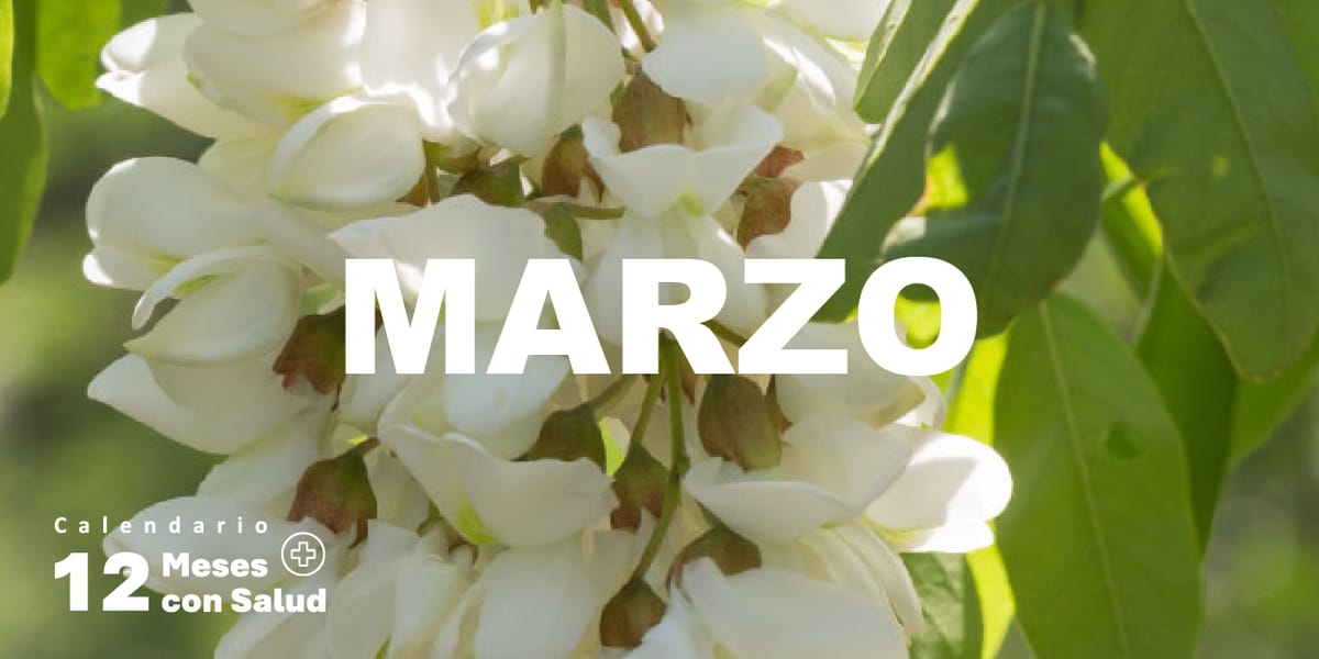 Imprescindibles Marzo/ Calendario 12 meses con salud