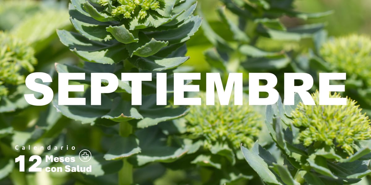 Imprescindibles de septiembre / Calendario 12 meses con salud