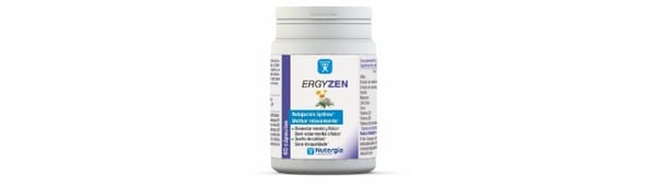 NOVEDAD ERGYZEN SEPTIEMBRE 2021