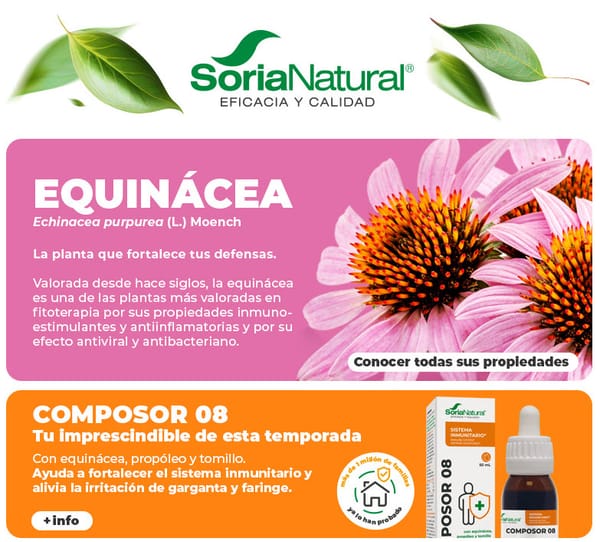 Equinácea 🩷​ ¿Cómo cuida tu sistema inmunitario?