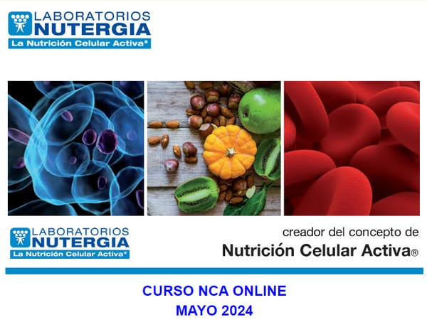 CURSO NCA ONLINE MAYO 2024