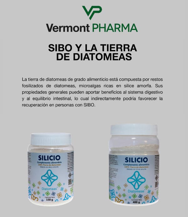 Sibo y la Tierra de Diatomeas