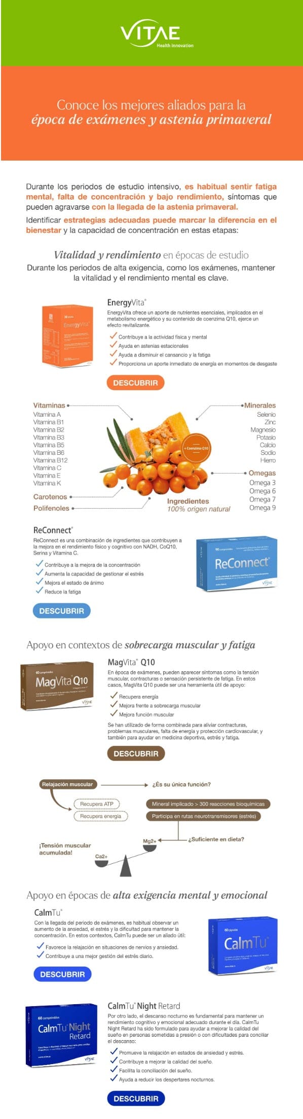 Conoce los mejores aliados para la época de exámenes y astenia primaveral