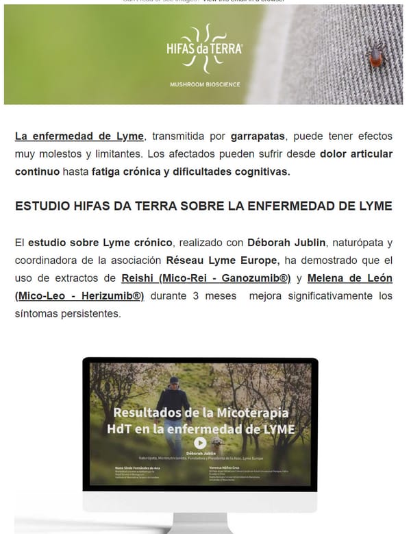 Nuevo Estudio by Hifas