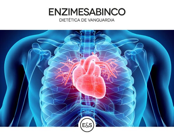 Vitaminas metiladas contra la homocisteína.