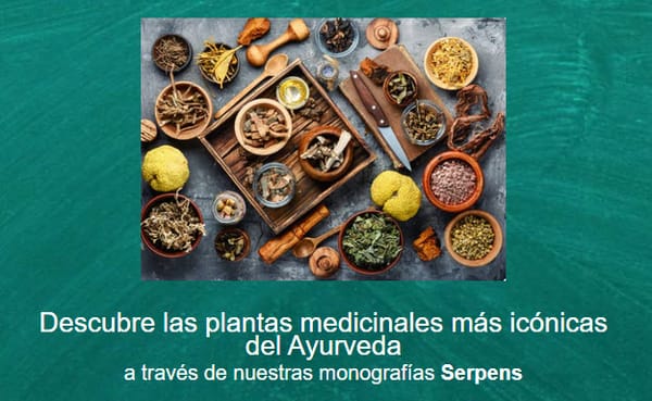 Descubre las plantas medicinales más icónicas del Ayurveda
