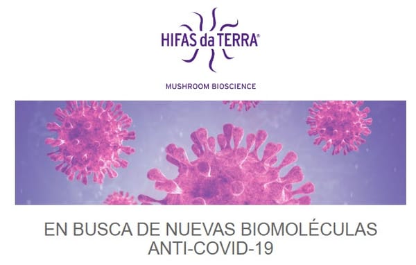 Buscamos biomoléculas anti19 en los hongos medicinales