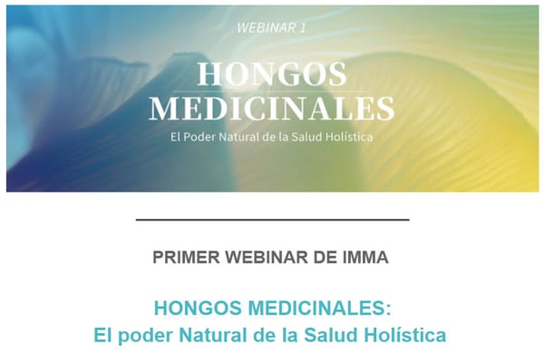 IMMA Newsletter Julio 2023