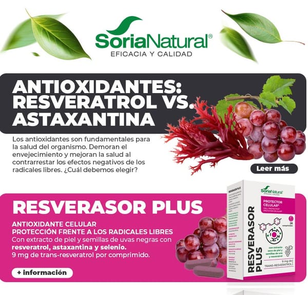 Antienvejecimiento y salud celular 🍇​ el poder de los antioxidantes 🧬