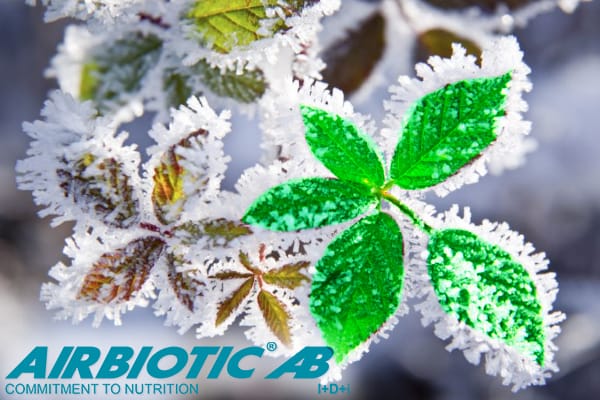 Hola frío - Airbiotic AB - I ❄ AB