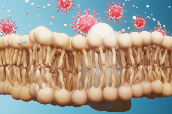LCN:MONOGRÁFICO Ácidos grasos y COVID-19
