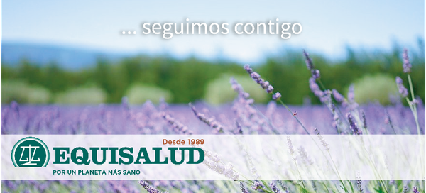 Descarga directa de nuestros regalos 🎁