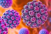 Confirmación de "El virus comúnmente ignorado: EBV y su importancia en la salud"