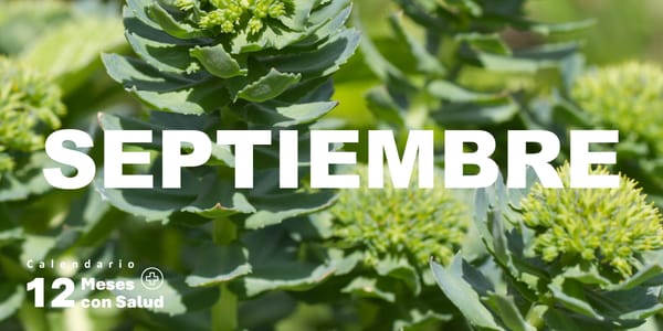 Imprescindibles de septiembre / Calendario 12 meses con salud